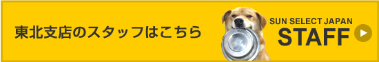 東北支店のスタッフ